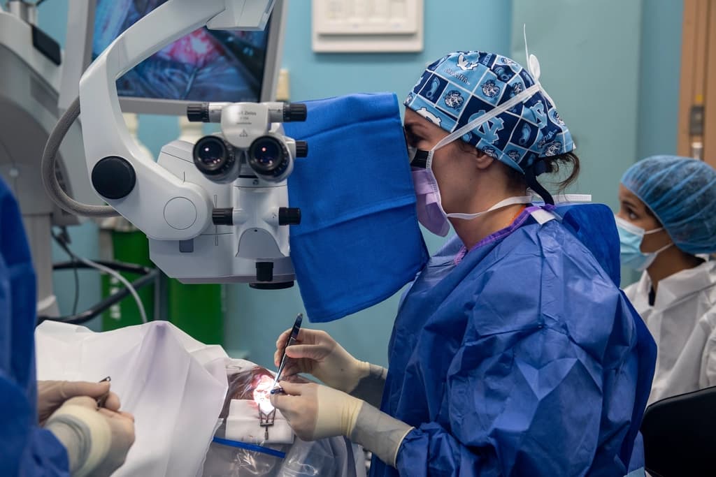 PDEK (Pre-Descemet's Endothelial Keratoplasty)